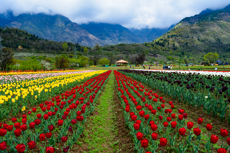 Festivals of Kashmir