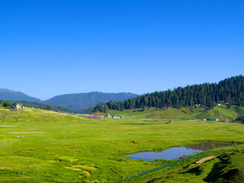 Gulmarg Wildlife Sanctuary. 