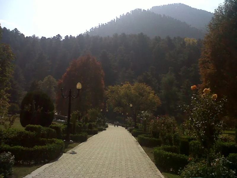 Kokernag