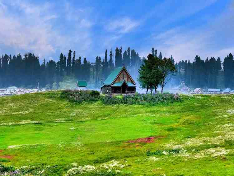 Gulmarg's meadows