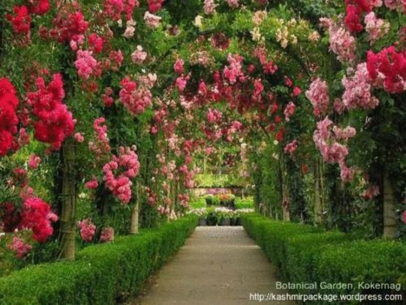  Kokernag's botanical garden