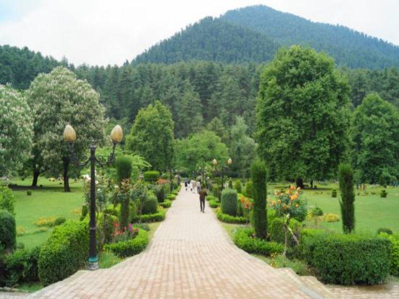 Beautiful Kokernag Hill Park