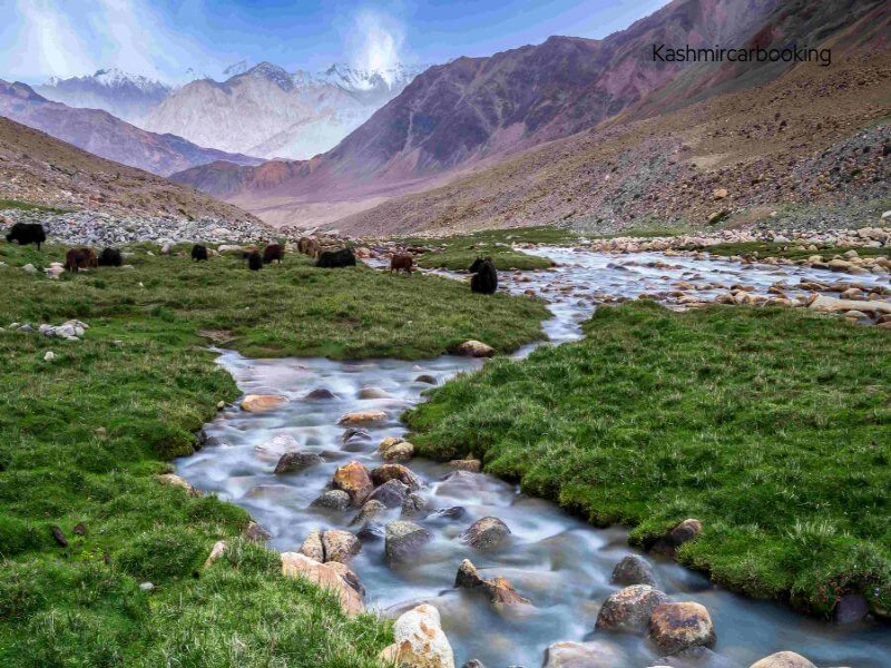 Pleasant Aru Valley