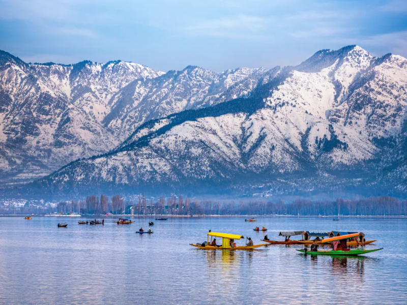 Tranquillity on the Dal Lake