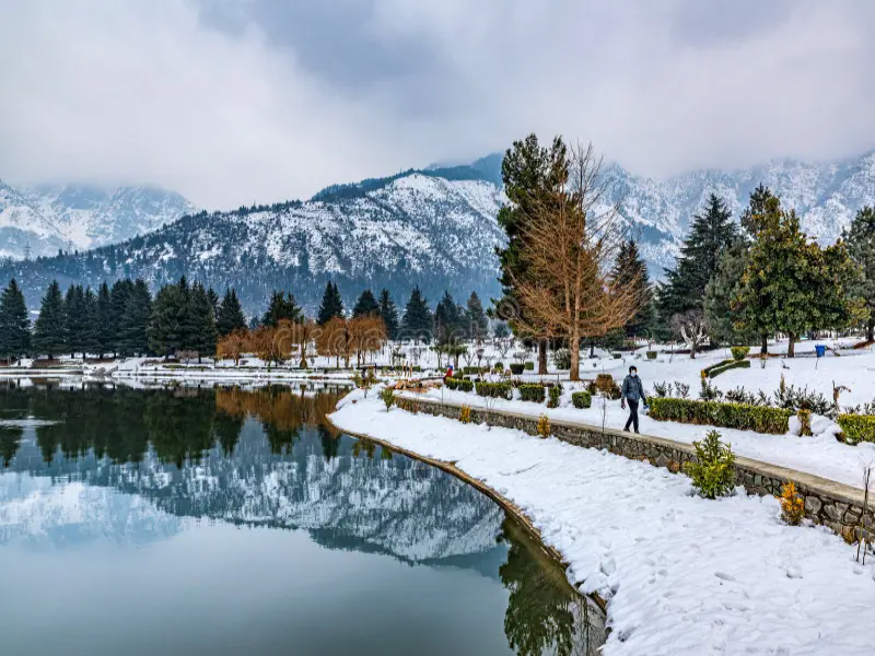 Srinagar's Botanical Garden 