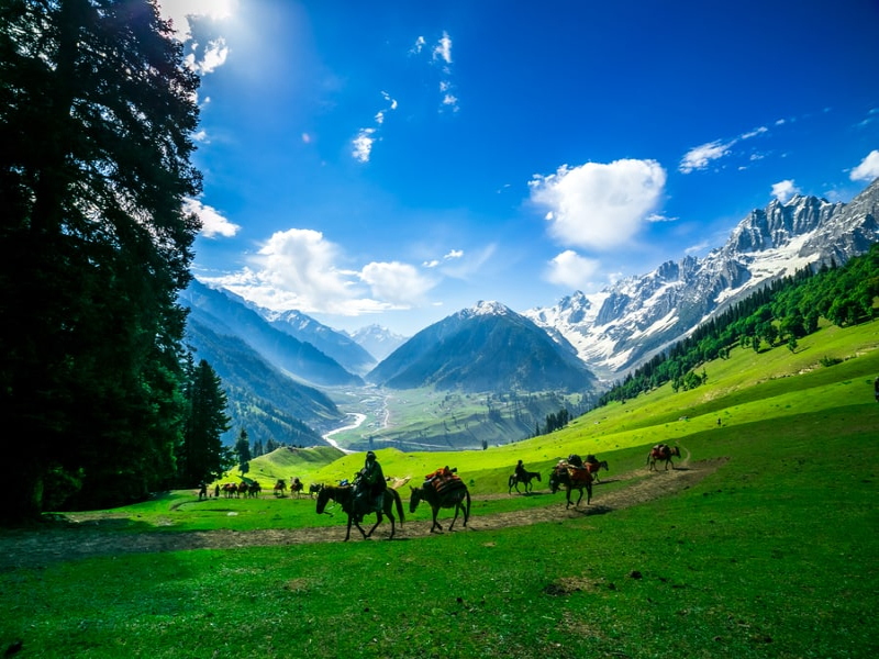 Kashmir Photography Trip Packages