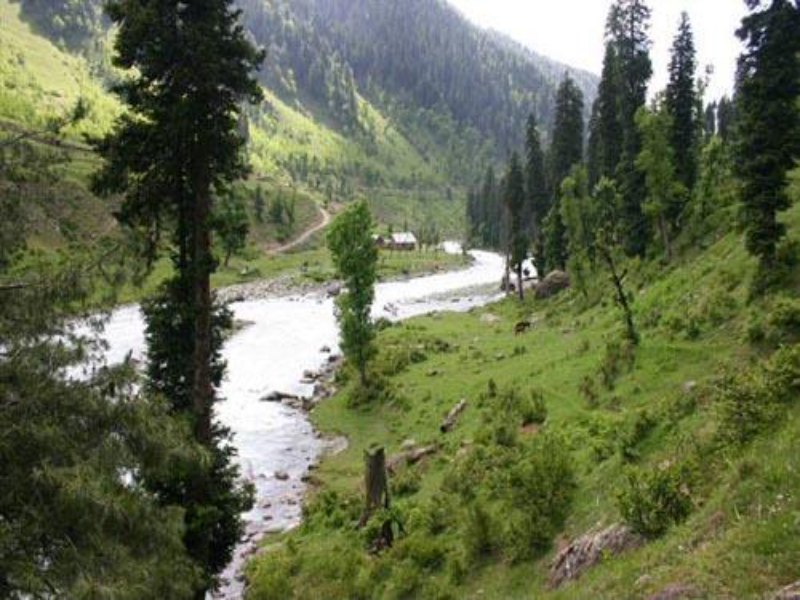 View of the picnic spot, Daksum