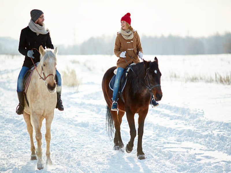 Horse ride