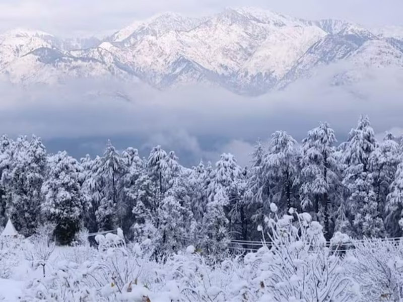 A snowy scene