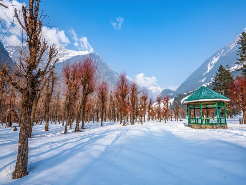 Pahalgam Valley covered in dense snow