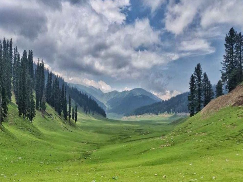 Meadows of Kashmir