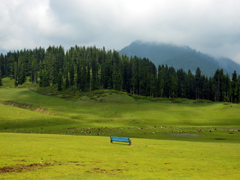 Kongwattan meadows. 