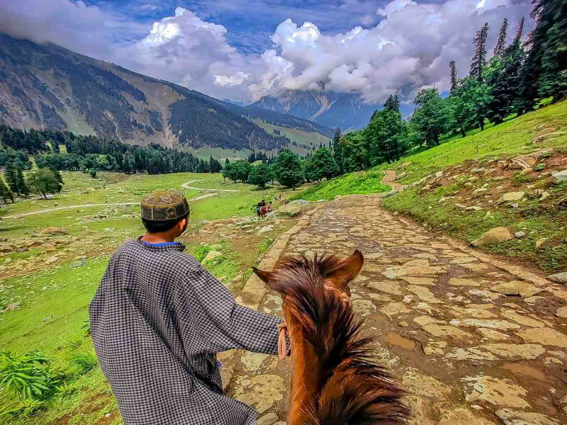 Tourists are riding horses in Sonamarg