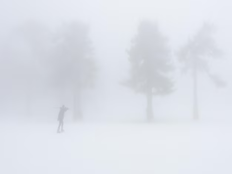 Landscape of dense snow