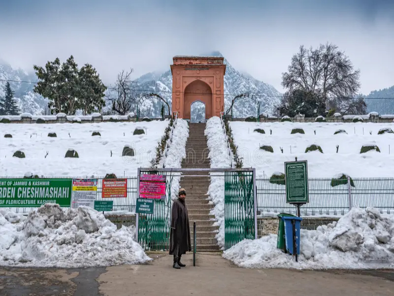 Cheshma Shahi Mughal Garden. 