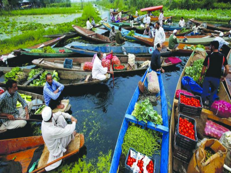 Water Shopping Dal Lake