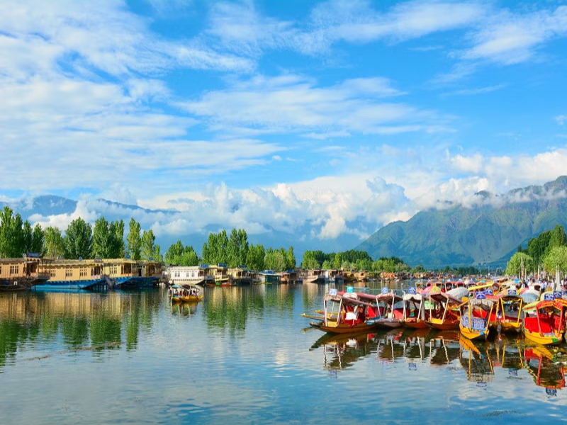 Dal Lake Srinagar Beauty