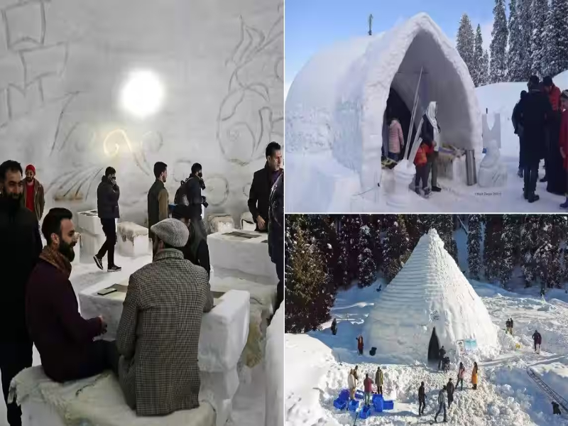  Igloo cafe 