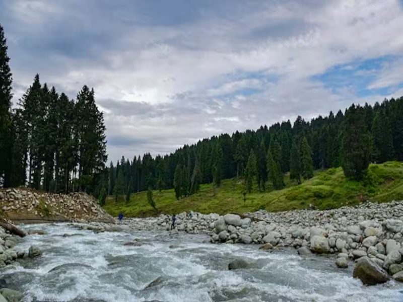 Doodhpathri Valley Kashmir