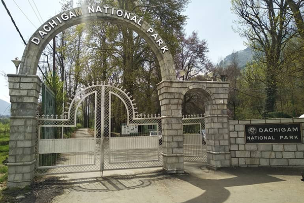 Dachigam National Park