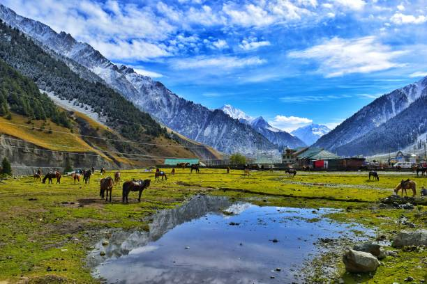  Pahalgam in Summer