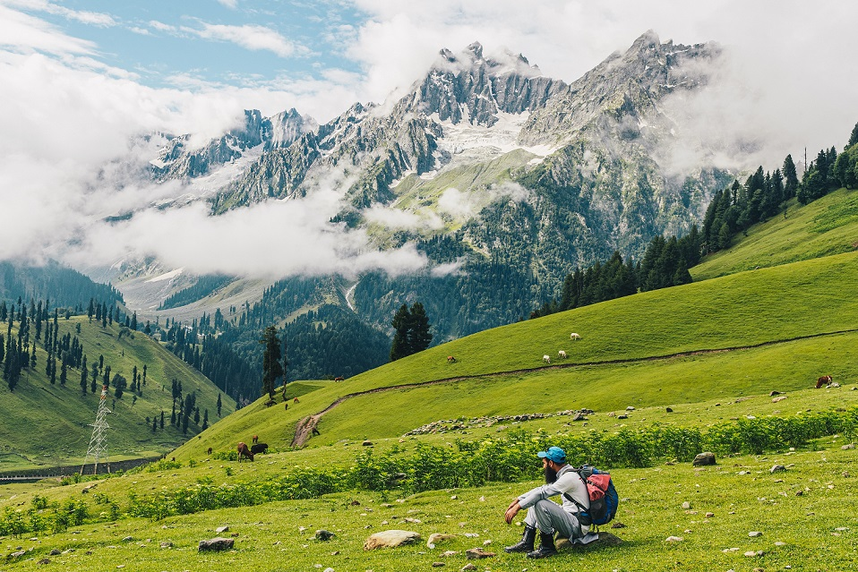 Alpine region in Kashmir