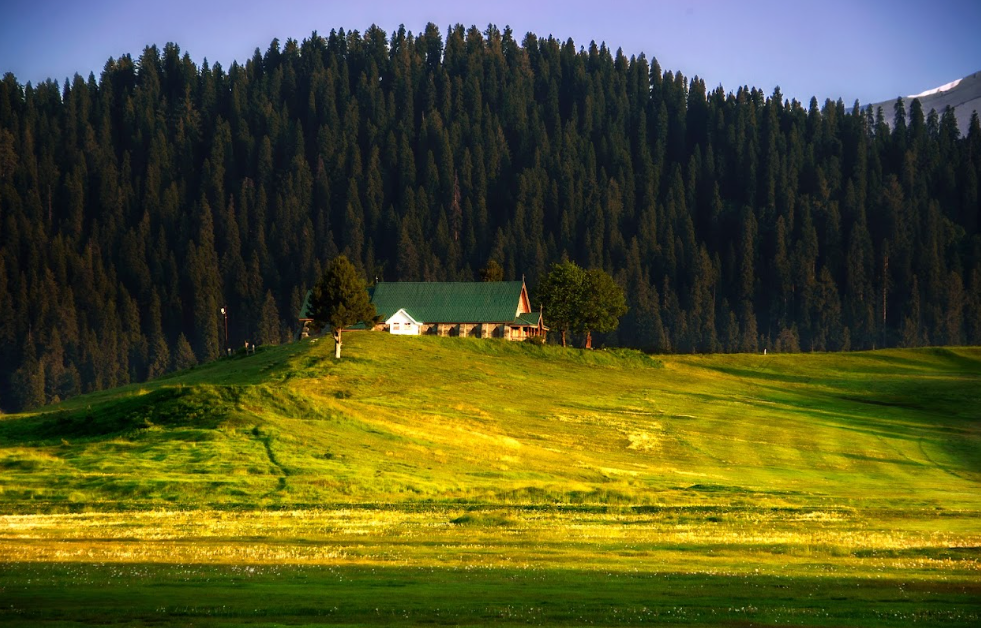 Landscape of Gulmarg