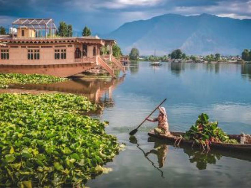 Srinagar Charms Kashmir Capital