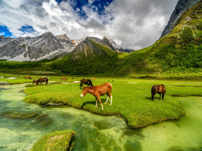 Bangus Valley