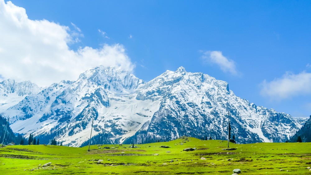 Kashmir Beauty