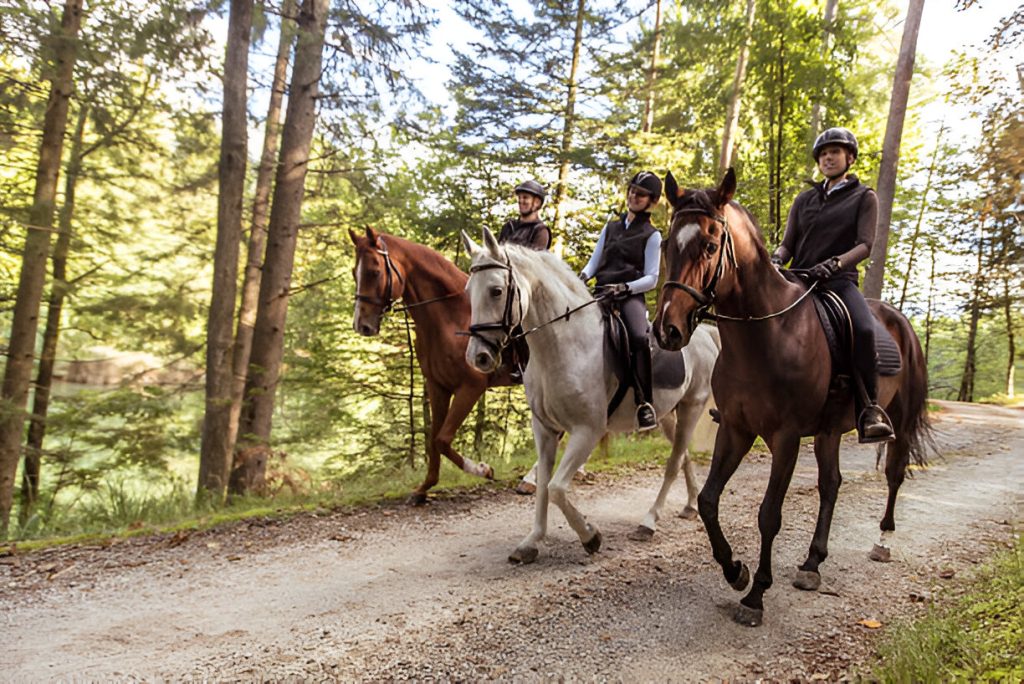 Horse Riding