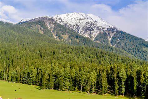 Yusmarg Nature Lover's Paradise