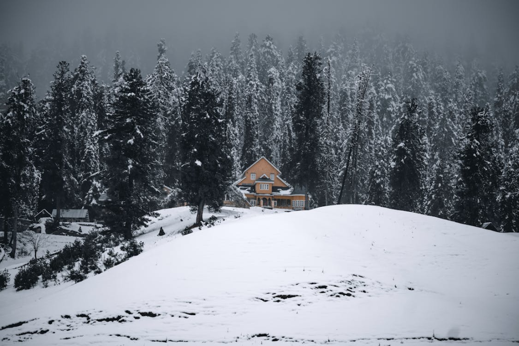 Gulmarg Kashmir