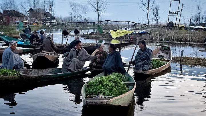 Dal Lake's Function in Maintaining the Market