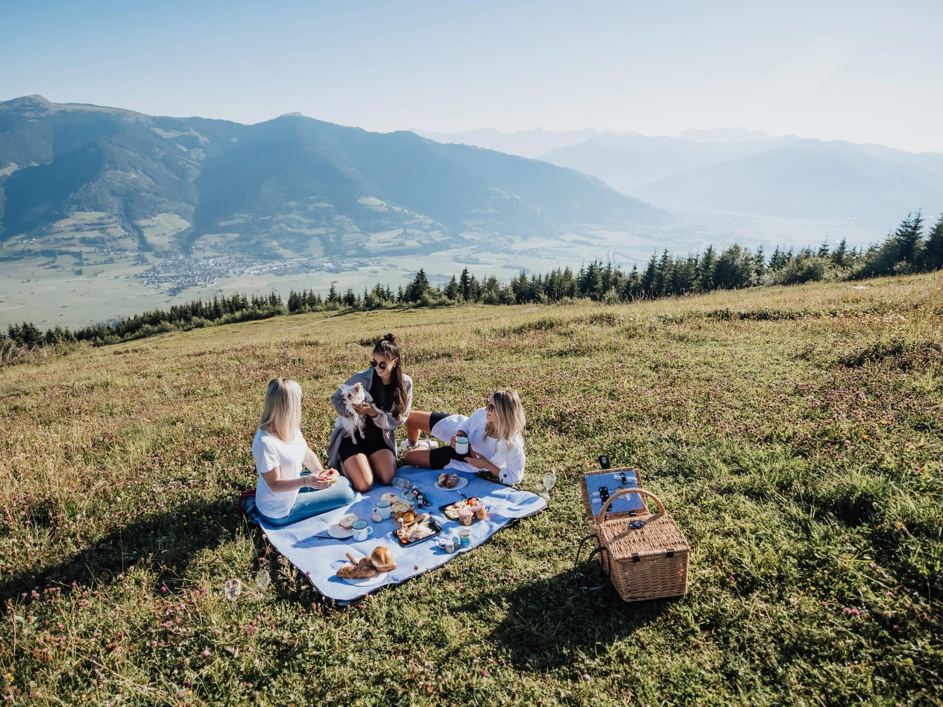 PICNICKING.webp